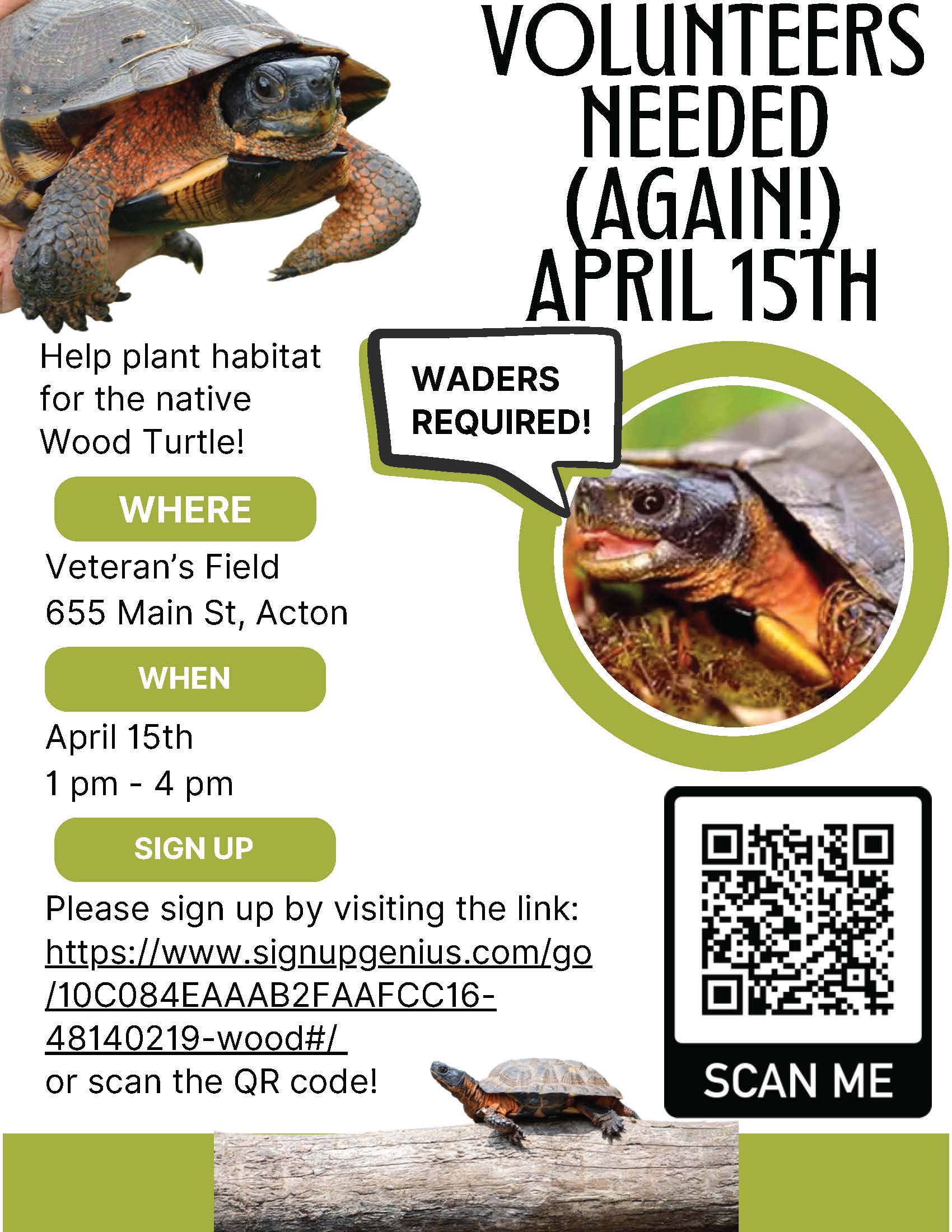 Wood Turtle Flyer